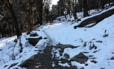Dodital Trek