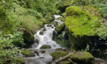 Gidara Bugyal Trek