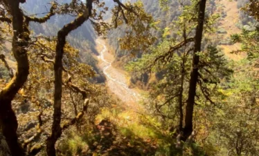 Gidara Bugyal Trek