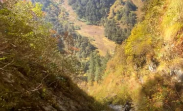 Gidara Bugyal Trek
