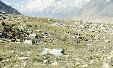 Nandanvan-Vasuki Tal trek