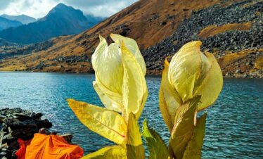Tapovan Nandanvan Vasukital Trek