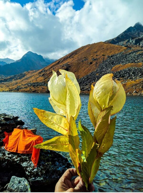 Tapovan Nandanvan Vasukital Trek