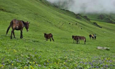 Gidara Bugyal Trek Package