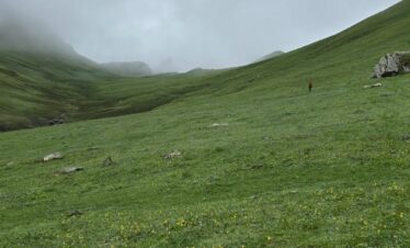 Gidara Bugyal Trek Package