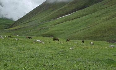 Gidara Bugyal Trek Package