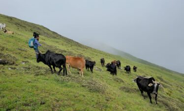 Gidara Bugyal Trek Package