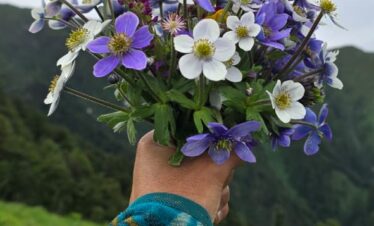 Gidara Bugyal Trek Package