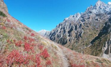 kedartal