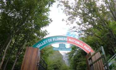valley of flowers