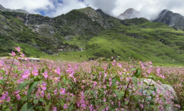 valley of flowers